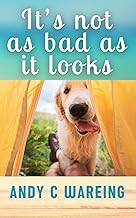 It’s not as bad as it looks : A Travel Adventure (Book Three) (The Tailspin Travelogues)