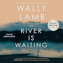 The River Is Waiting cover