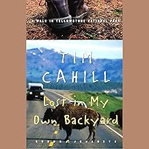 Lost in My Own Backyard: A Walk in Yellowstone National Park