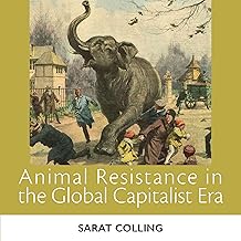 Animal Resistance in the Global Capitalist Era: The Animal Turn