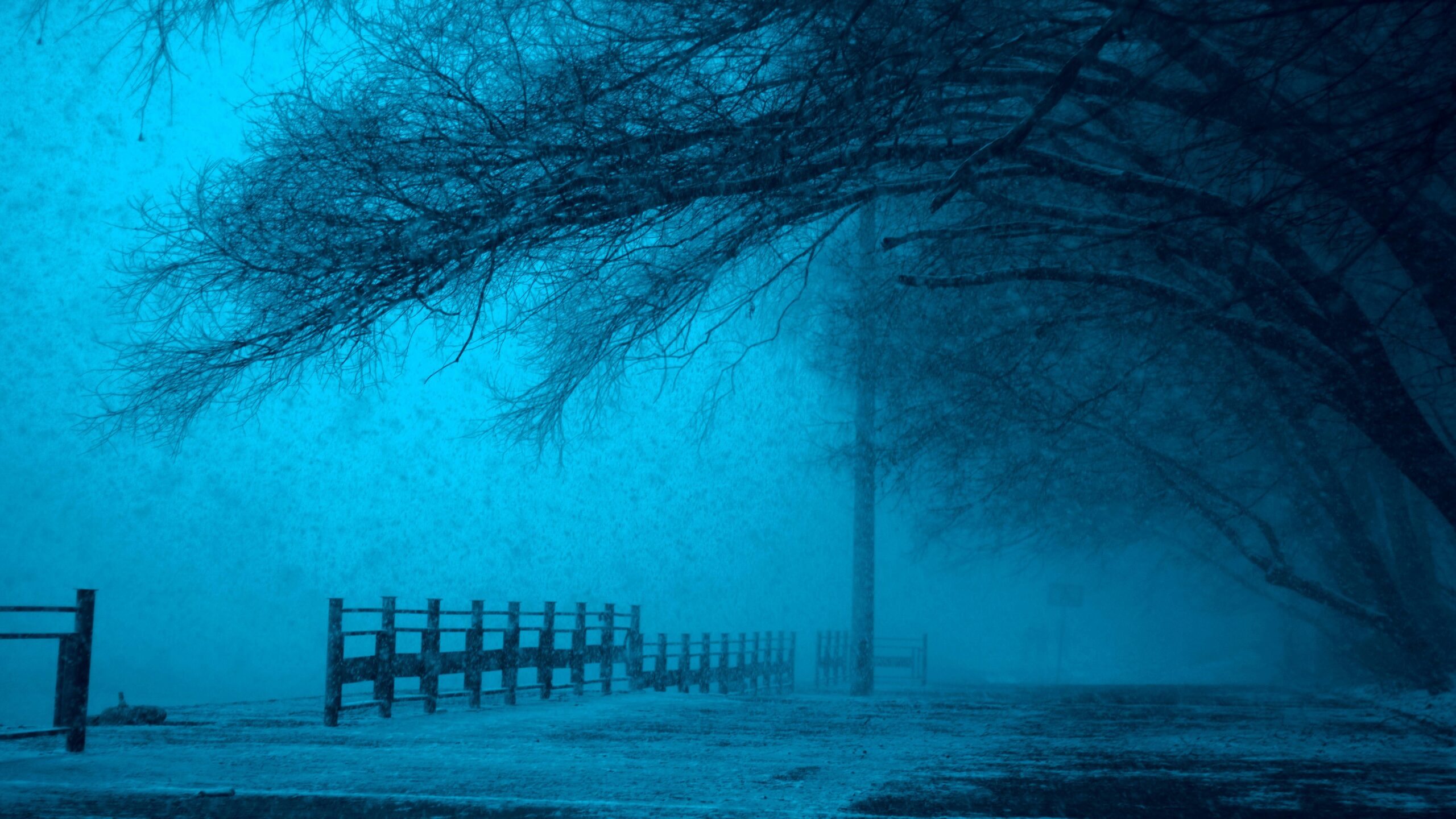 “A deserted, snow-covered path bordered by a wooden railing under bare, overhanging tree branches as heavy blue-toned snow swirls through the air.”