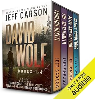 The David Wolf Mystery Thriller Series: Books 1-4 cover
