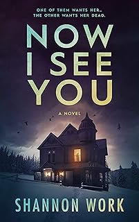 Now I See You (Mountain Resort Mystery series Book 1) cover