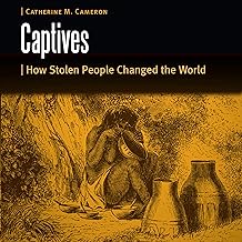 Captives: How Stolen People Changed the World (Borderlands and Transcultural Studies) cover